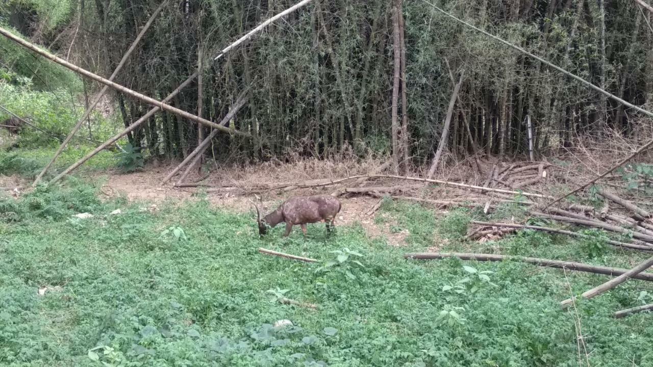 לינה וארוחת בוקר טקאדי Wildernest מראה חיצוני תמונה