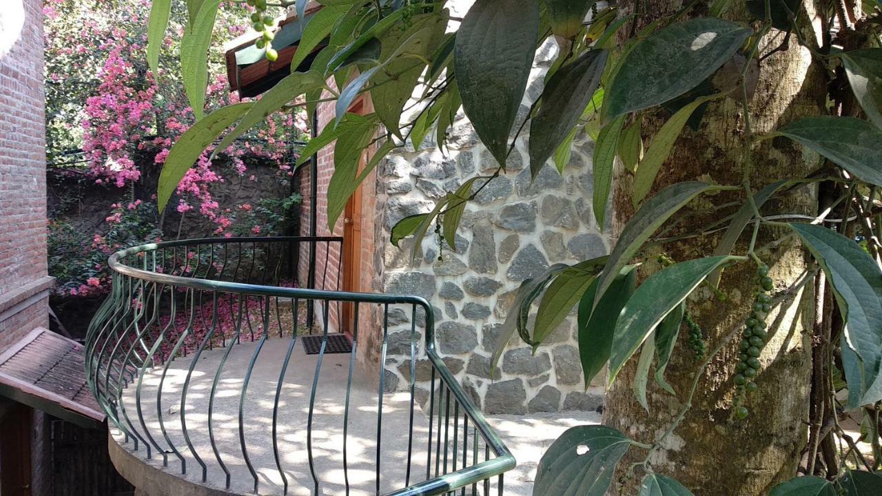 לינה וארוחת בוקר טקאדי Wildernest מראה חיצוני תמונה