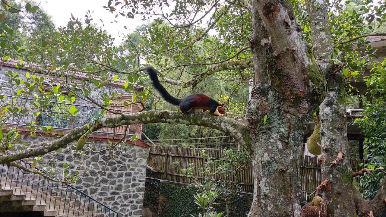 לינה וארוחת בוקר טקאדי Wildernest מראה חיצוני תמונה